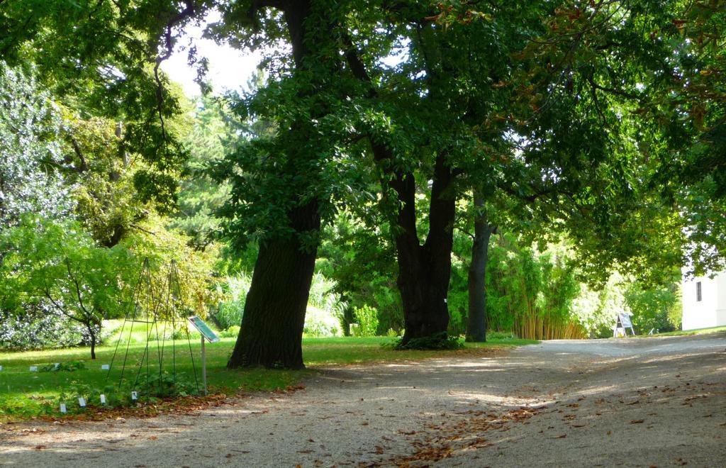 Streetview Wien - Premium Apartment Beim Belvedere Luaran gambar